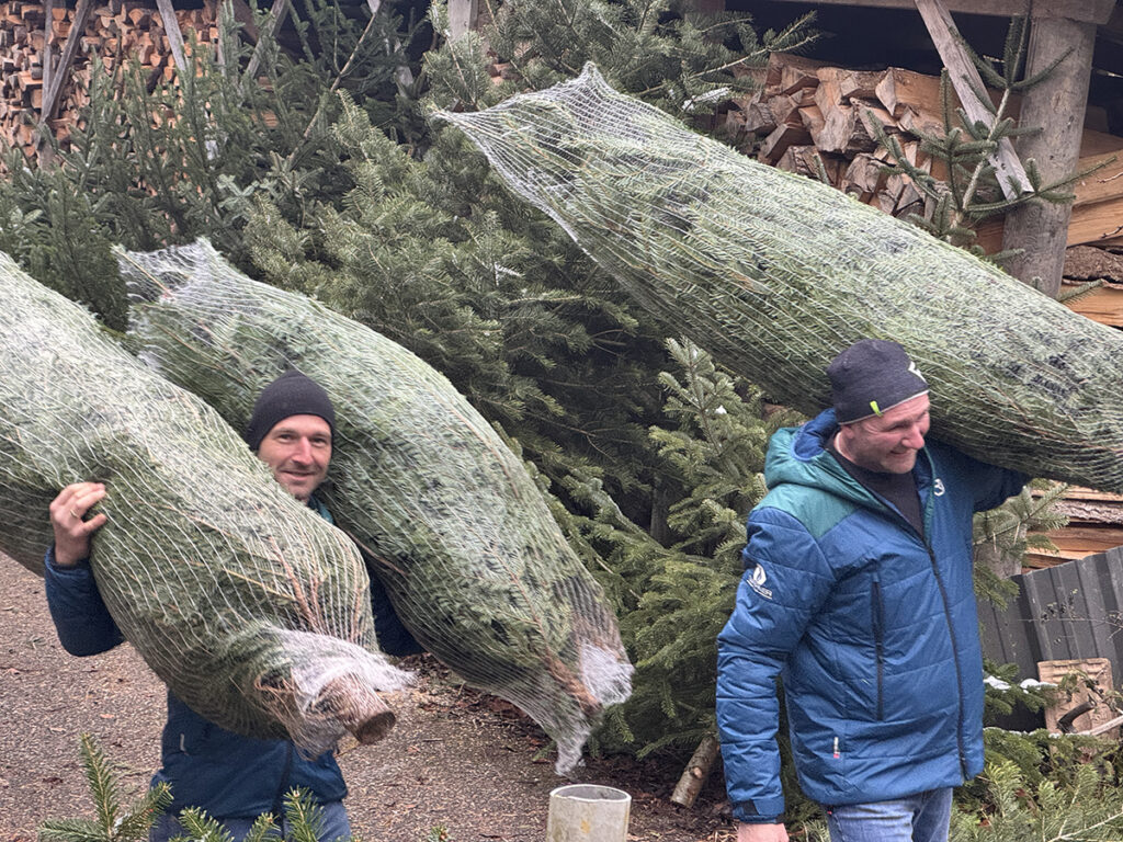 FIRMENEVENTS & - FITNESS Christbaum suche